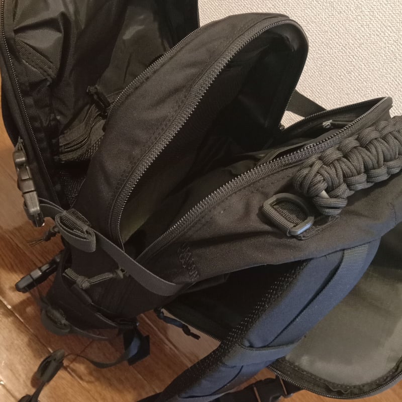 ダイレクトアクション　ドラゴンエッグMK2 25L DIRECT ACTION / ダイレクトアクション DRAGON EGG MK II 25L バック