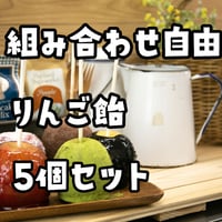 組み合わせ自由！りんご飴5個セット