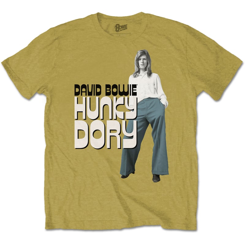 【希少】90s デヴィッドボウイ　ハンキードリー　Tシャツ 公式新品】 DAVID BOWIE - HUNKY DORY 2 デヴィッドボウイT
