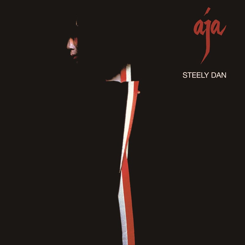 輸入新品レア】 STEELY DAN - AJA BLACK スティーリーダン T