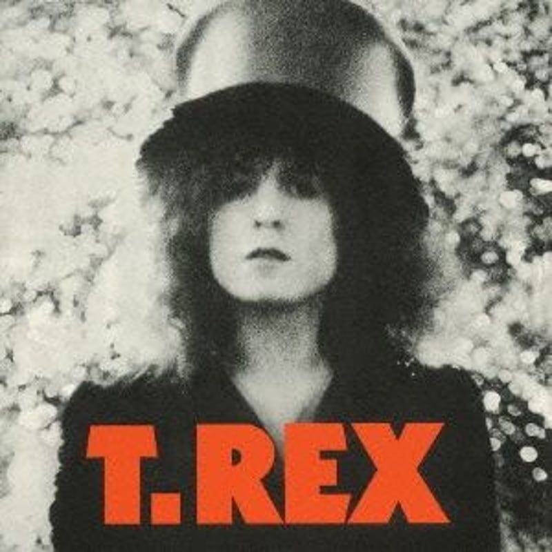 公式新品】 T-REX - THE SLIDER TレックスTシャツ | wear the 公式新品】 T-REX - THE SLIDER TレックスTシャツ | wear the
