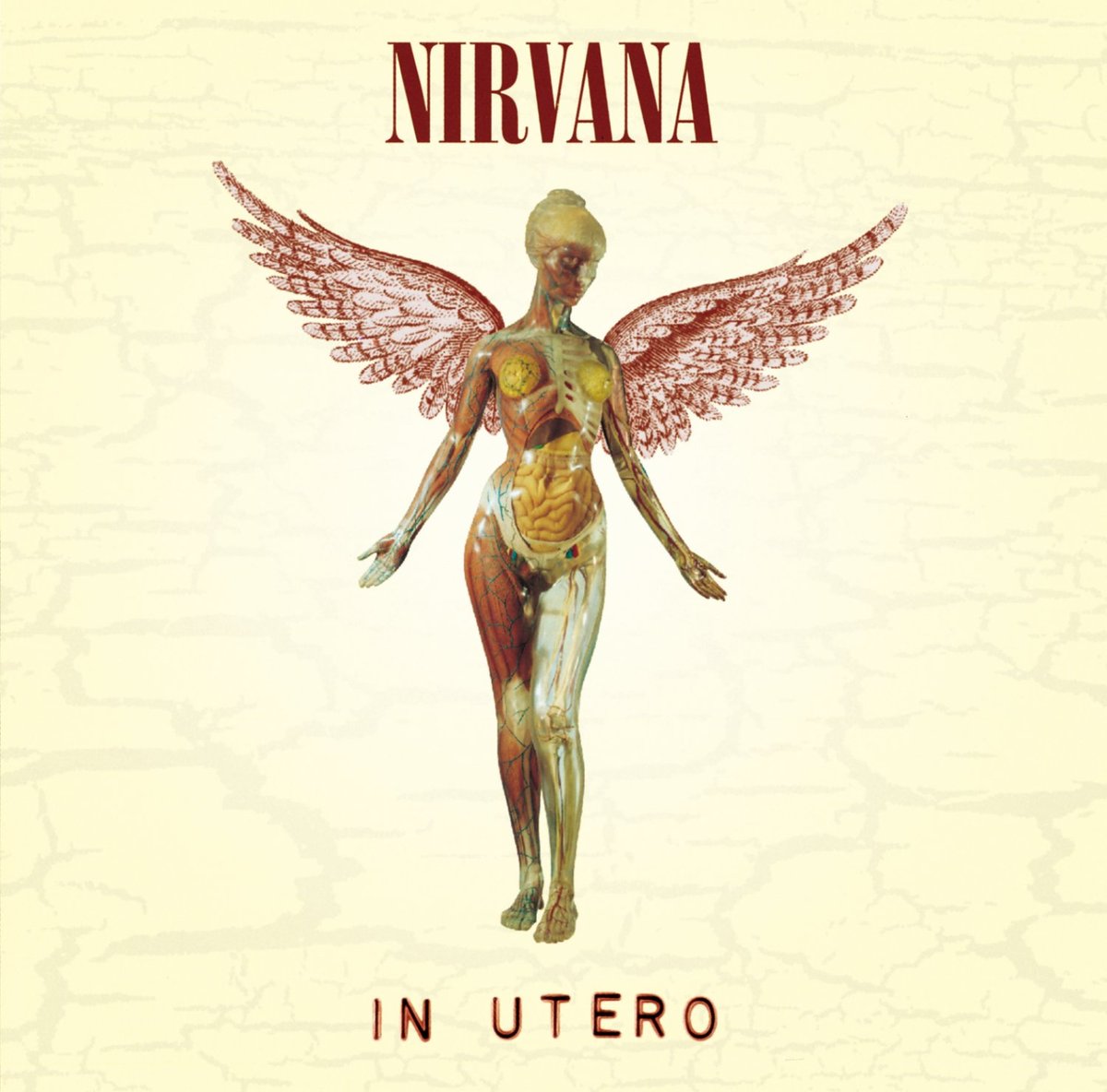 輸入新品レア】 NIRVANA - IN UTERO ニルヴァーナTシャツ Gildan