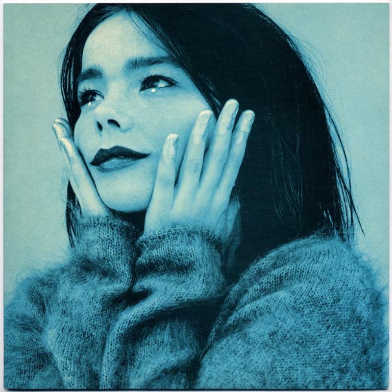 輸入新品レア】 BJORK - VEVUS AS A BOY ビョークTシャツ Gildan 輸入新品レア】 BJORK - VEVUS AS A BOY ビョークTシャツ Gildan