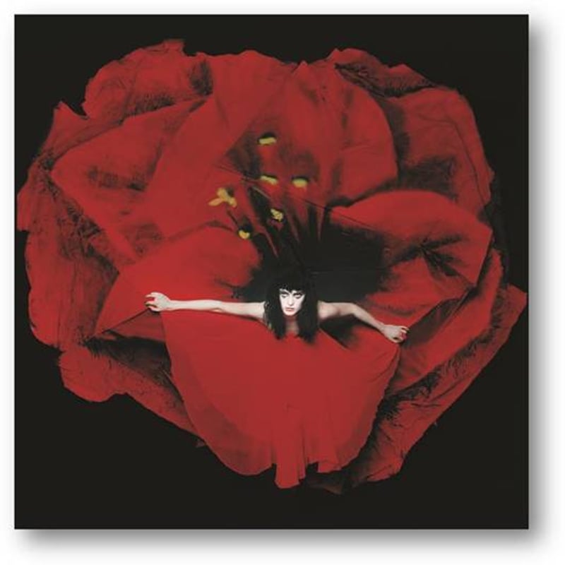 公式新品】 THE SMASHING PUMPKINS - ADORE (BACK PRIN