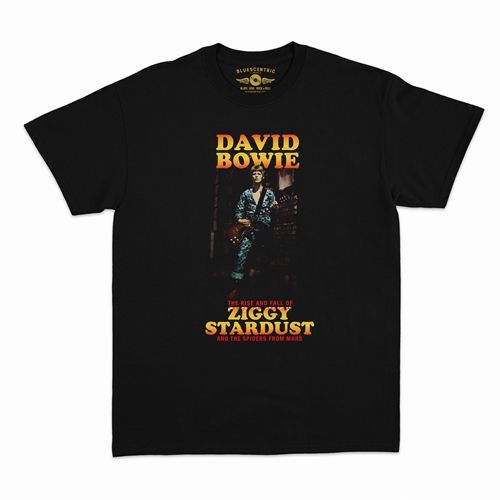 DAVID BOWIE デヴィッドボウイ- ZIGGY STARDUST & THE SPIDERS FROM MARS CLASSIC HEAVY  COTTON バンドTシャツ