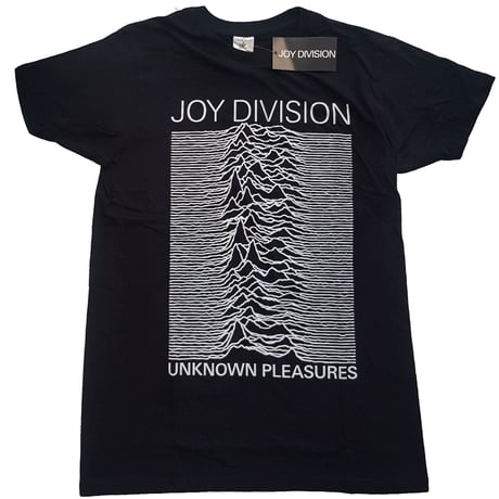 美品 ジョイディヴィジョン 写真集 JOY DIVISION JOY DIVISION photographs by KEVIN CUMMINSジョイ