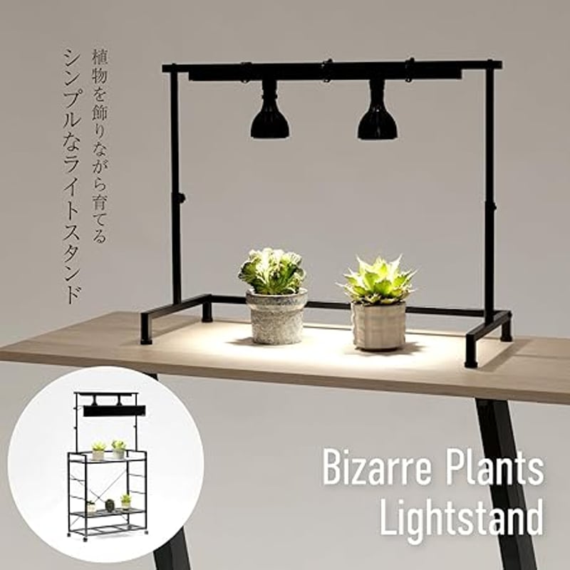 BIBILAB(ビビラボ) ビザールプランツライトスタンド LPS-800 | 最終的