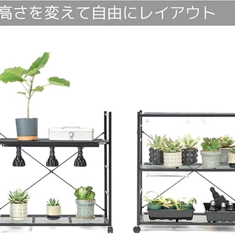 BIBILAB(ビビラボ) ビザールプランツラック LPR-800 | 最終的に