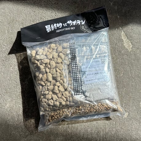 さぼてん本舗 ZXL-4PLPBRSU-(1)｜テルワールド（NTT中古ビジネスフォン販売店）