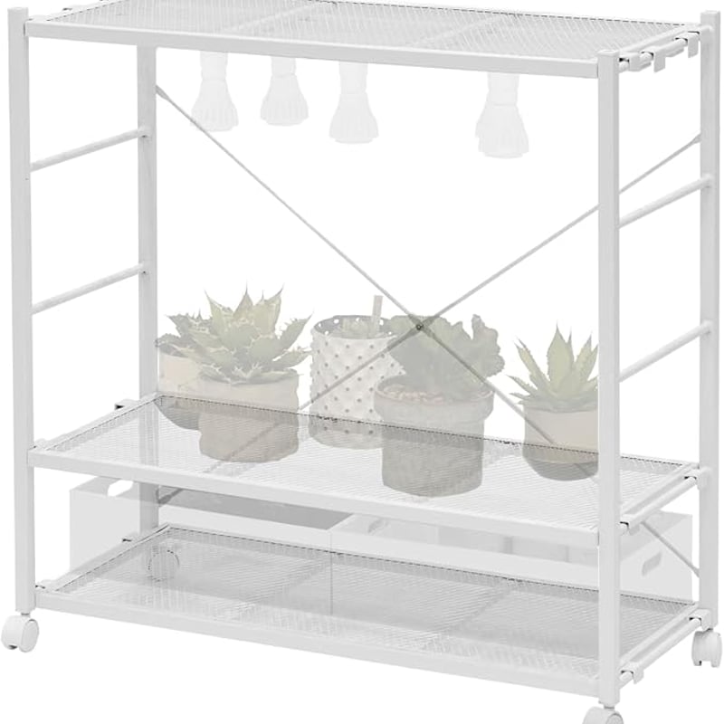 BIBILAB(ビビラボ) ビザールプランツラック LPR-800 | 最終的に