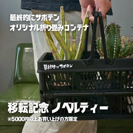 最終的にサボテン オンラインストア