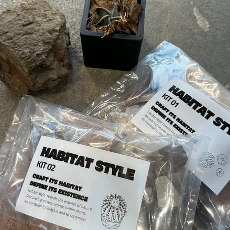 最終的にサボテン オンラインストア