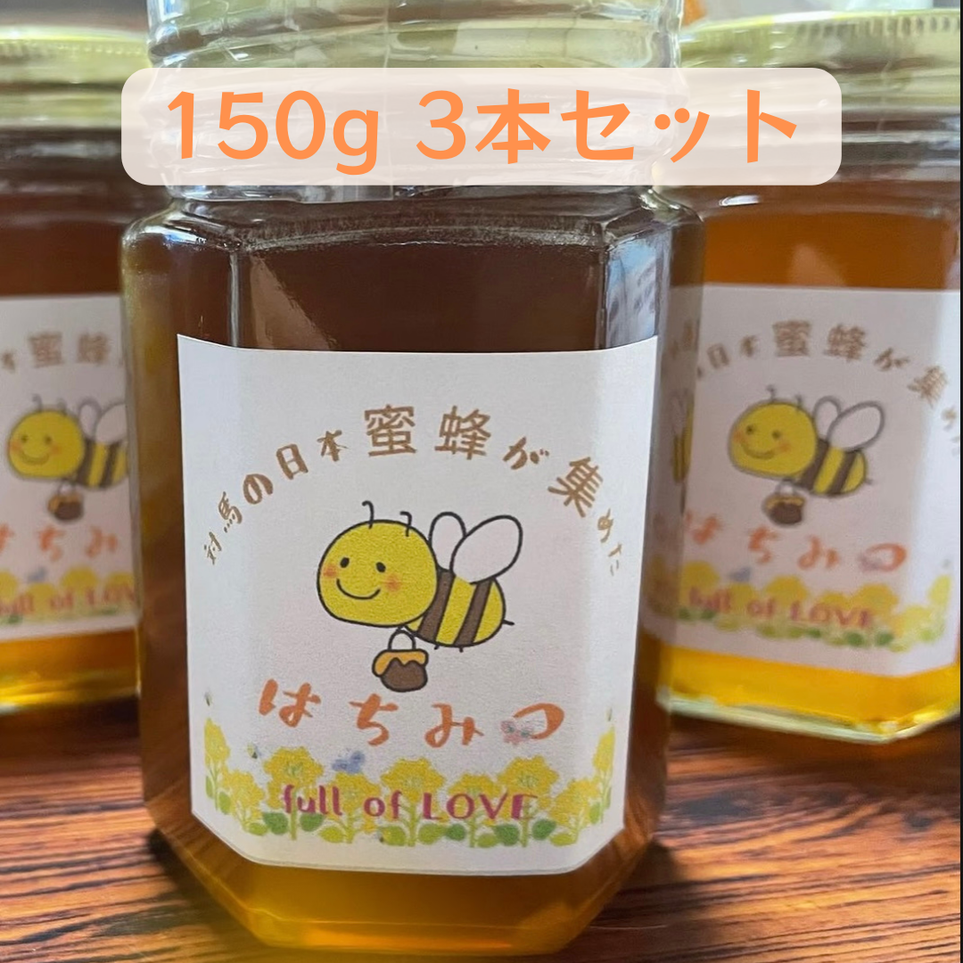 日本ミツバチの蜂蜜（1200g瓶入り）3本セット