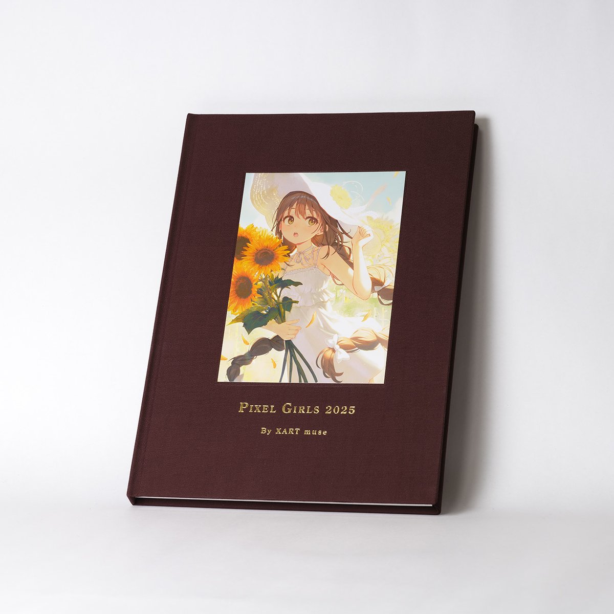 10冊限定】XR Illust book 「PIXEL GIRLS作品集」 | X-ART