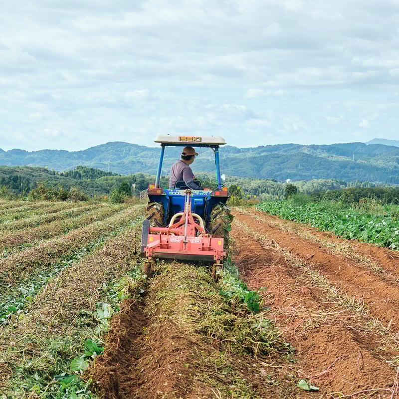 さつまいも様】専用・青360g×2袋≪リクエスト特割特価≫ さつまいも様