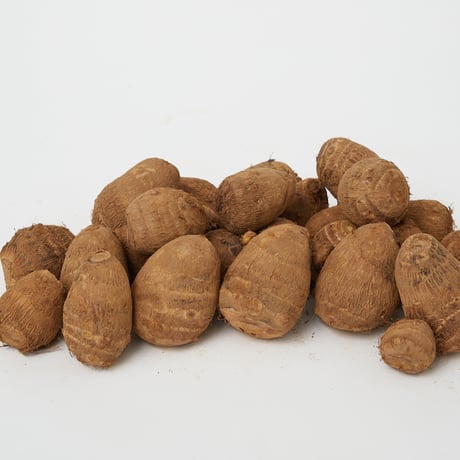 サトイモ | STORES