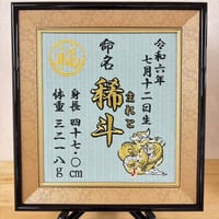 カラー畳見本