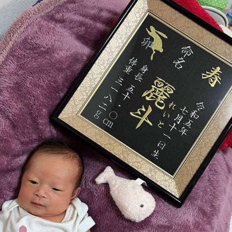 高級額 基本内容 追加無し