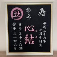 通常額 パステル額 (基本内容)