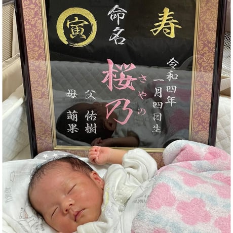 高級額 基本内容 追加無し