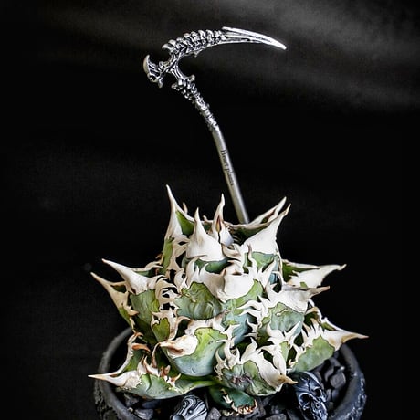 "Death scythe Soil stick"デスサイズソイルスティック　シルバー　Heartplants.刻印
