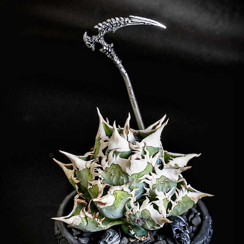 Death scythe Soil stick