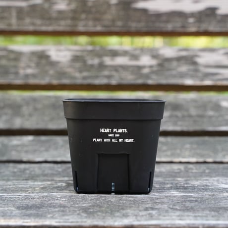 Heart plants plastics slitpot 105浅鉢　3個セット