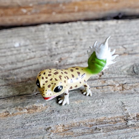 アガべ　Oteroid gecko"ヒョウモンアガベモドキ"