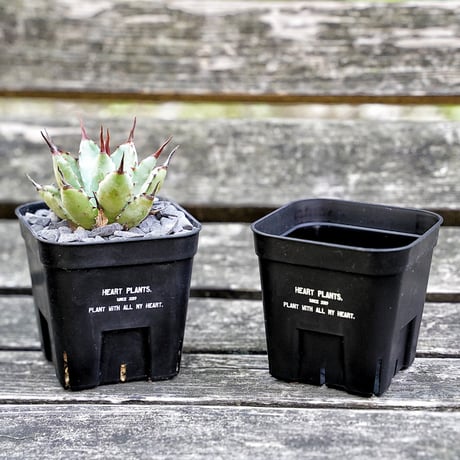 Heart plants plastics slitpot 90浅鉢　3個セット