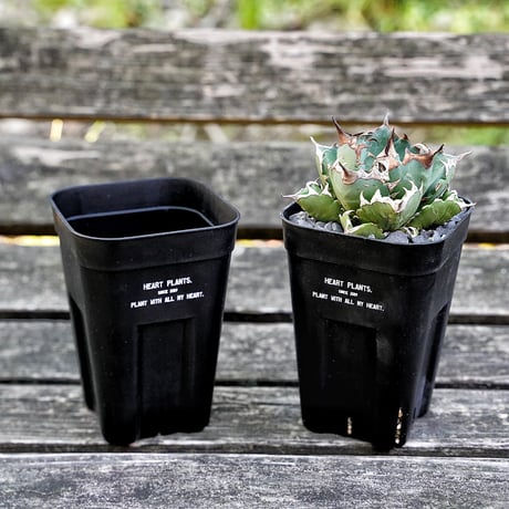 Heart plants plastics slitpot 90深鉢　3個セット