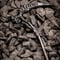 \"Death scythe Soil stick\"デスサイズソイルスティック　ガンメタ塗装　Heartplants.刻印
