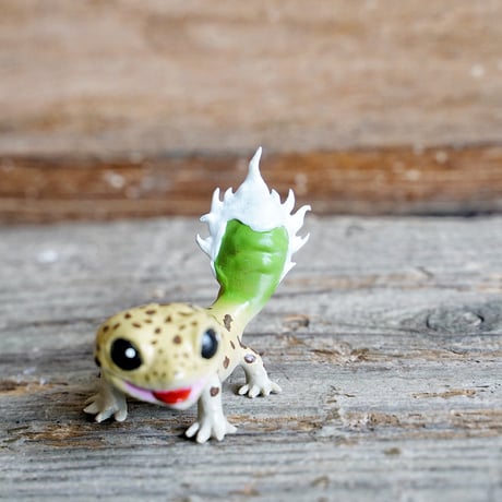 アガべ　Oteroid gecko"ヒョウモンアガベモドキ"