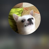 かんちゃんさん