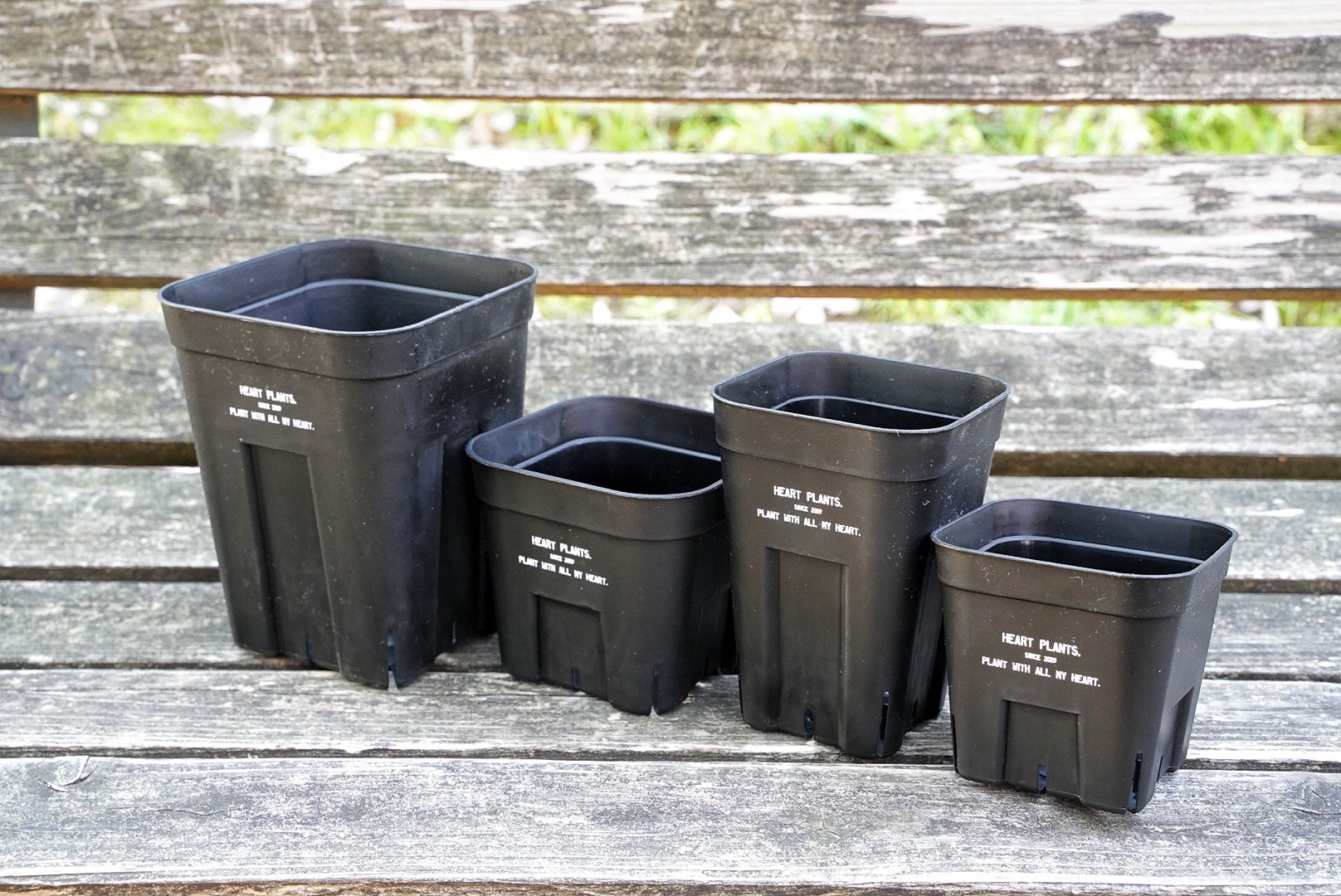 Heart plants plastics slitpot 105浅鉢 3個セット | アガベ