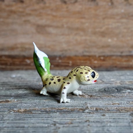 アガべ　Oteroid gecko"ヒョウモンアガベモドキ"