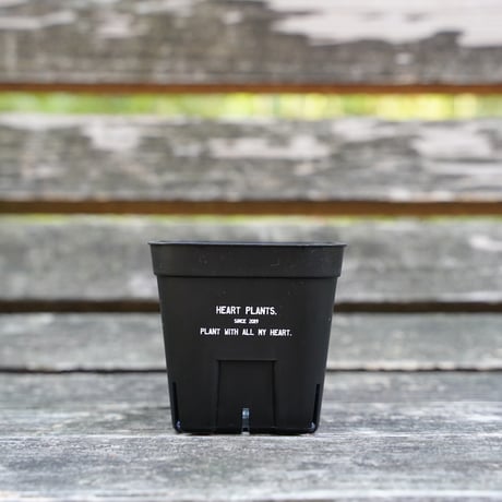 Heart plants plastics slitpot 90浅鉢　3個セット