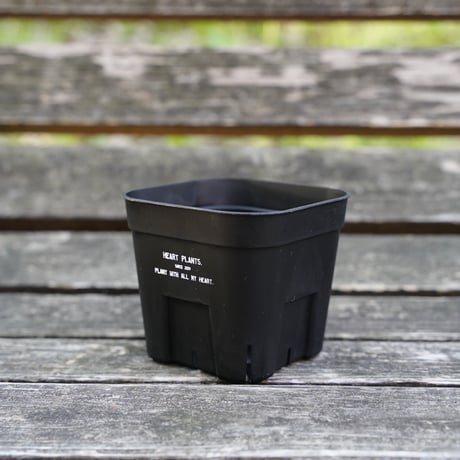Heart plants plastics slitpot 105浅鉢　3個セット