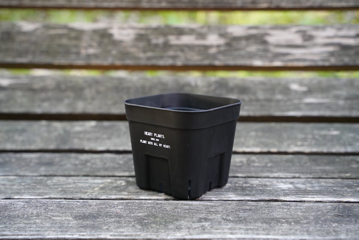 Heart plants plastics slitpot 105浅鉢 3個セット | アガベ