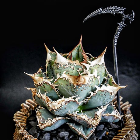 "Death scythe Soil stick"デスサイズソイルスティック　ガンメタ塗装　Heartplants.刻印