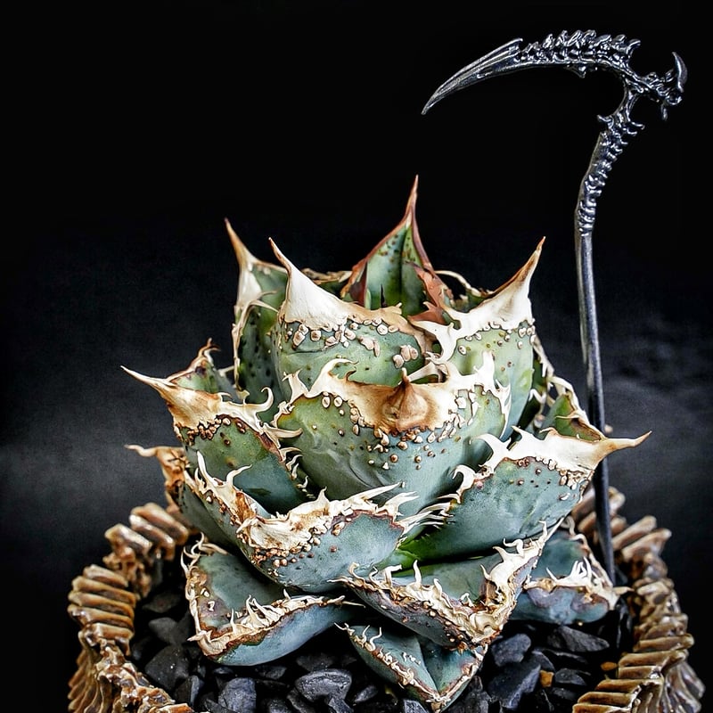 Death scythe Soil stick