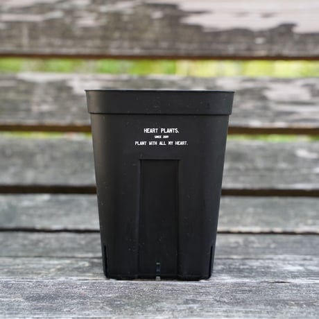 Heart plants plastics slitpot 120深鉢　3個セット