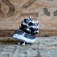 アガベ　棘ねずみ　ver.Black devil