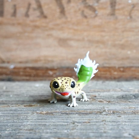 アガべ　Oteroid gecko"ヒョウモンアガベモドキ"