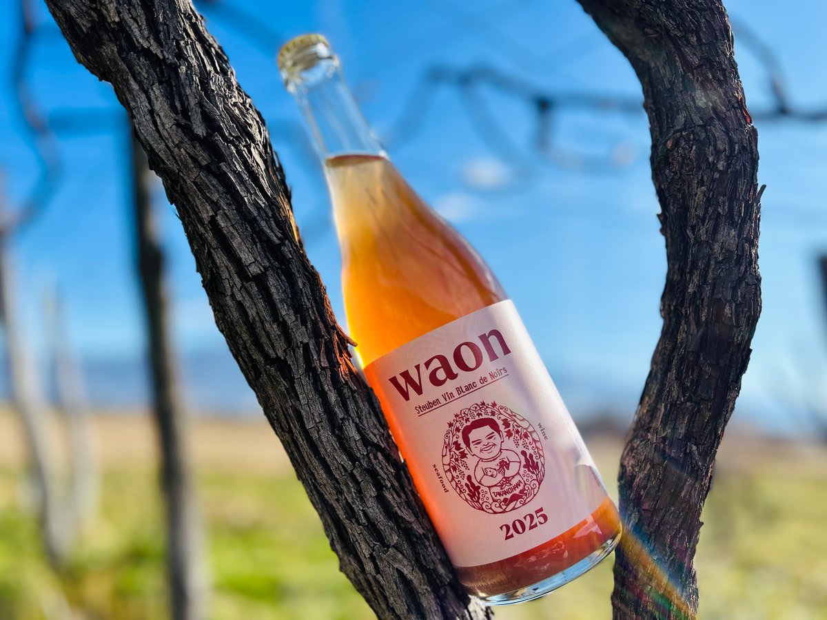 waon ワイン2025(スチューベン/ブランドノワール泡750ml)750ml | TAKA