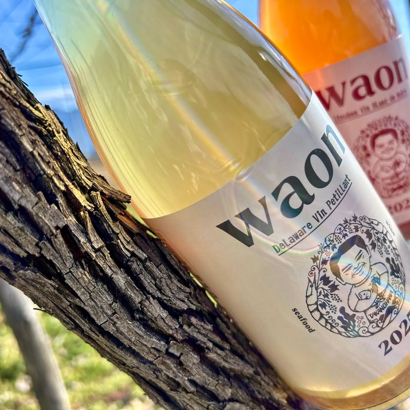 waon ワイン2025(スチューベン/ブランドノワール泡750ml)750ml | TAKA