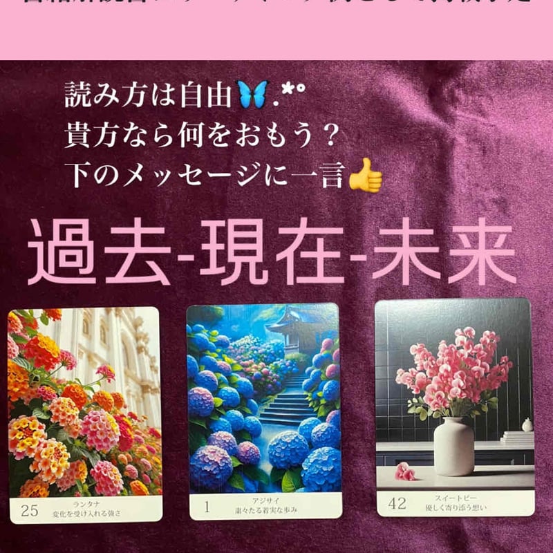ご*】様 オラクルカードセット 4種 Amazon.co.jp: 【日本語解説書つき】 ネイチャーズ ウィスパーズ