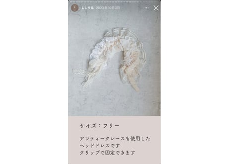 ちょうちょう撮影会2.23