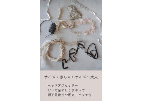 ちょうちょう撮影会2.23