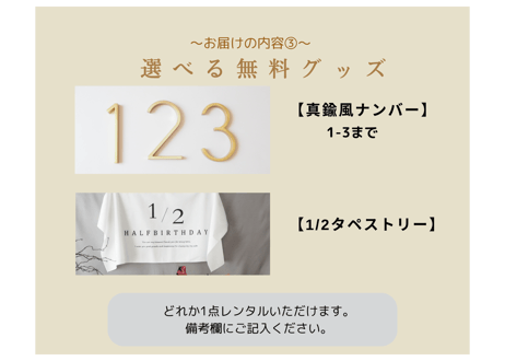 【グリーン系】　おうちスタジオレンタルセット