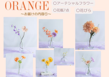 【Orange】おうちスタジオレンタルセット